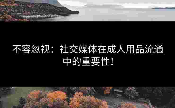 不容忽视：社交媒体在成人用品流通中的重要性！