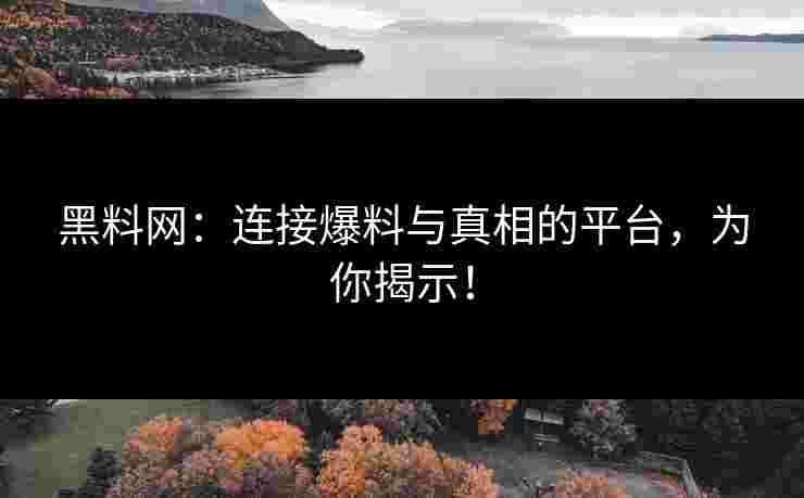黑料网：连接爆料与真相的平台，为你揭示！